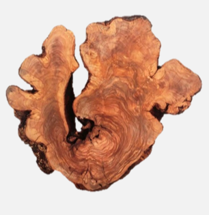 Talla olivo 1 (fondo gris)